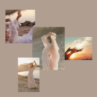 Healing Space LUPINUS